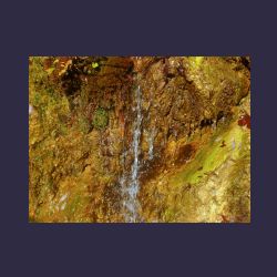 2012-10-20_Fall_AQUILA (100)b.JPG